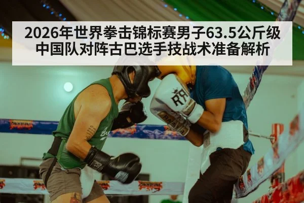 boxing match punch action（jiuyou game）